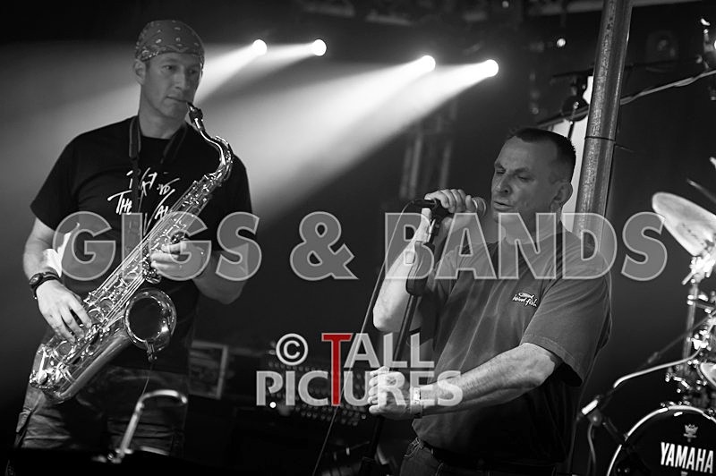 Elysium-145 - ELYSIUM