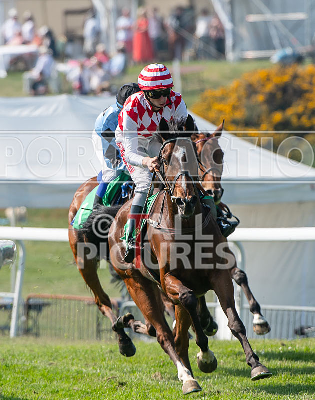 Guernsey Race Club Horse Racing 2018-25 - GUERNSEY RACE CLUB BANK HOLIDAY 2018