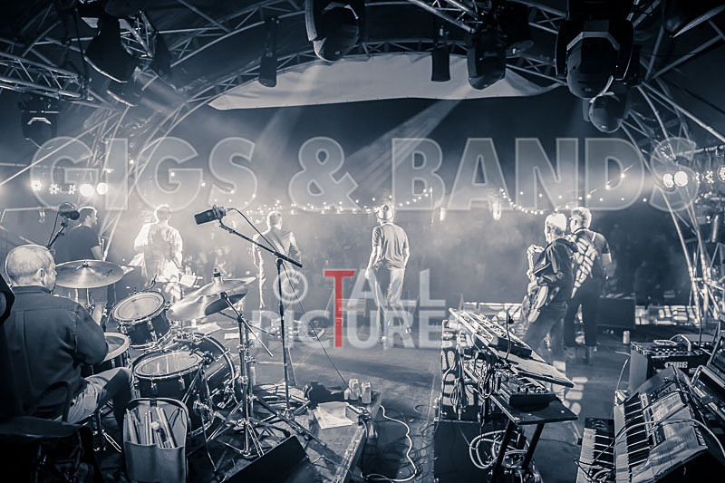 Sons of the Desert-345 - SONS OF THE DESERT