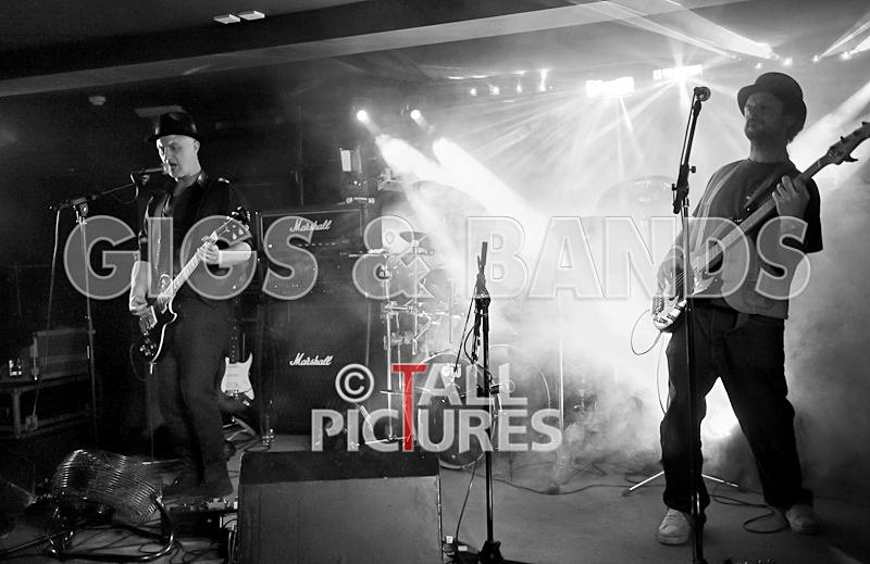 Peppered Ant Legs-90 - PEPPERED ANT LEGS