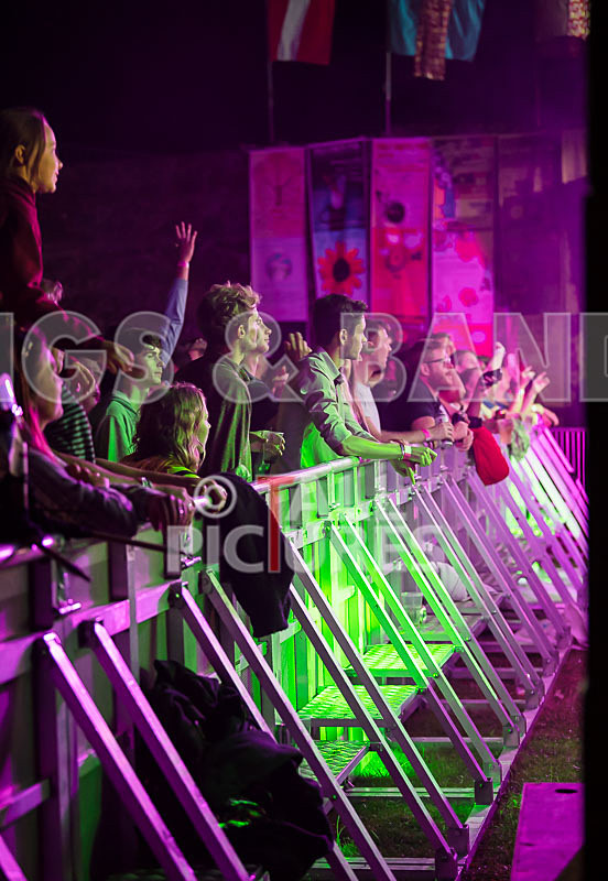 Vale Earth Fair 2017_SCENE-164 - VALE EARTH FAIR 2017_THE SCENE