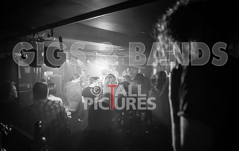 Yes Sir Boss-61 - YES SIR BOSS