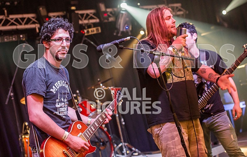 Stone Em All-8 - STONE EM ALL