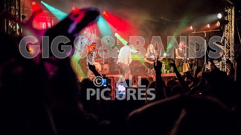 Roots Manuva-2 - ROOTS MANUVA