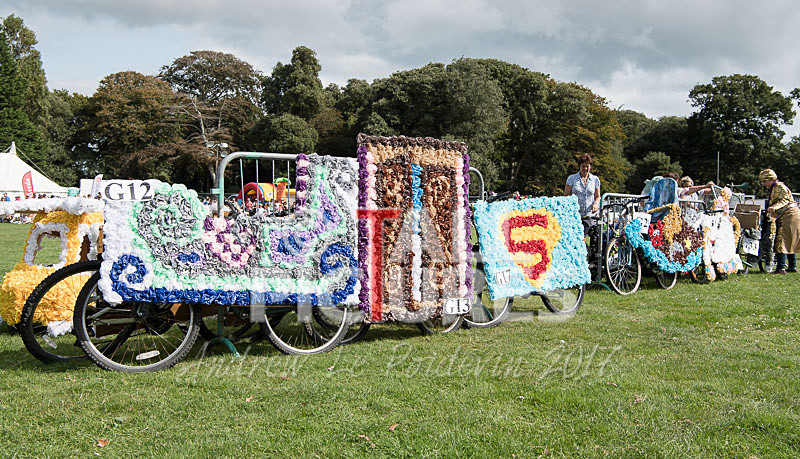 North Show 2017-96 - NORTH SHOW 2017