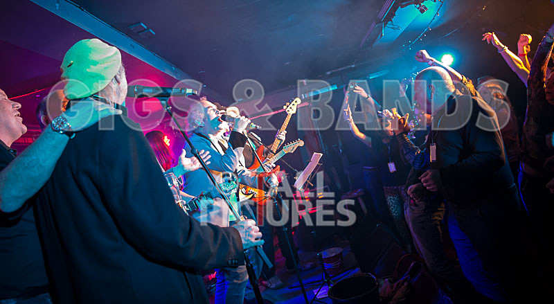 Alfie Bartons 25th Anniversary Gig-62 - ALFIE BARTON'S 25th ANNIVERSARY SPECIAL