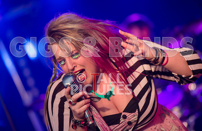 Static Alice-421 - STATIC ALICE