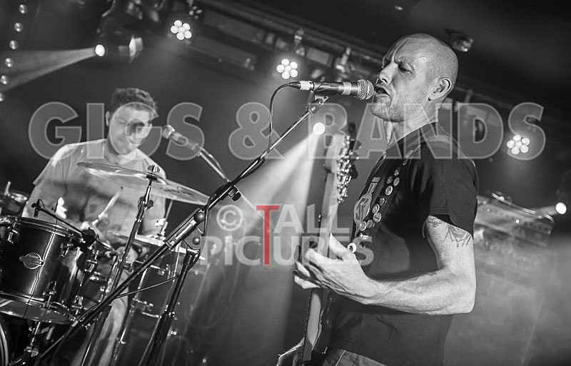 FalenizzaHorsepower-123 - FALENIZZAHORSEPOWER