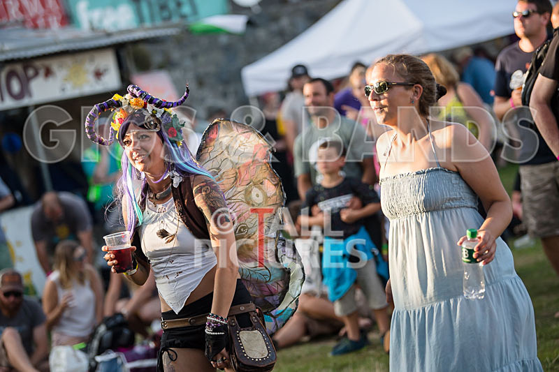 Vale Earth Fair 2017_SCENE-114 - VALE EARTH FAIR 2017_THE SCENE