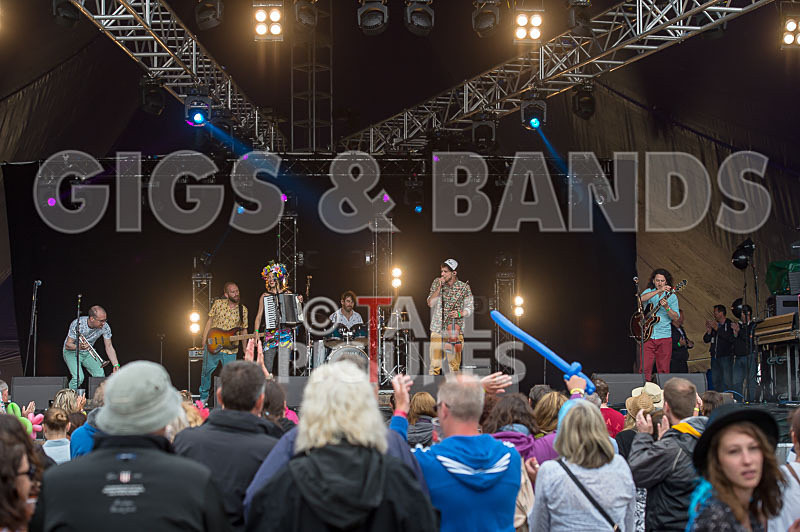 Molotov Jukebox-37 - MOLOTOV JUKEBOX