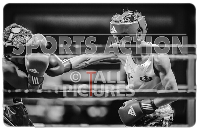 BOUT 3- Arnie Watson v Arthur Tipping-44 - BOUT 3 - Arnie Watson v Arthur Tipping