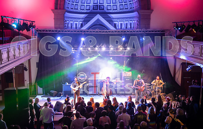 Static Alice-814 - STATIC ALICE