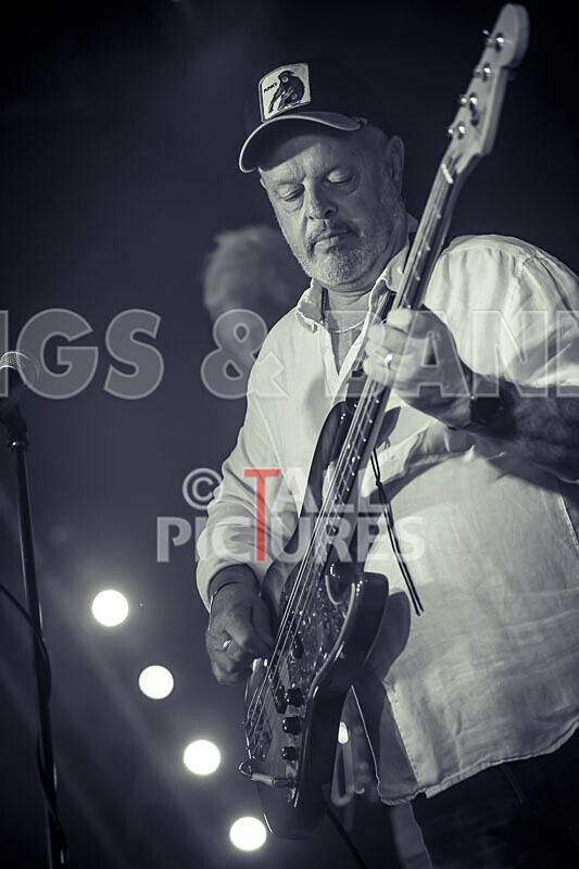 The Vinyls-6 - THE VINYLS