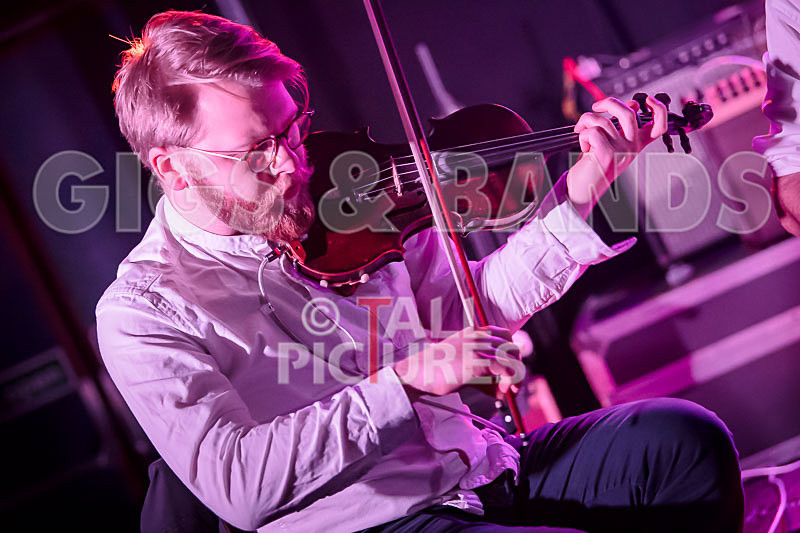 The Rectory Hill Skillet Lickers-11 - VALE EARTH FAIR UNPLUGGED 2018