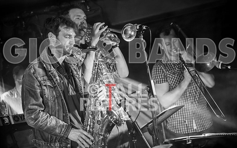 Sons of the Desert-118 - SONS OF THE DESERT