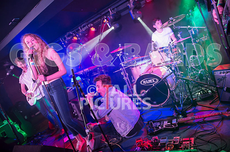 Francisco-104 - FRANCISCO