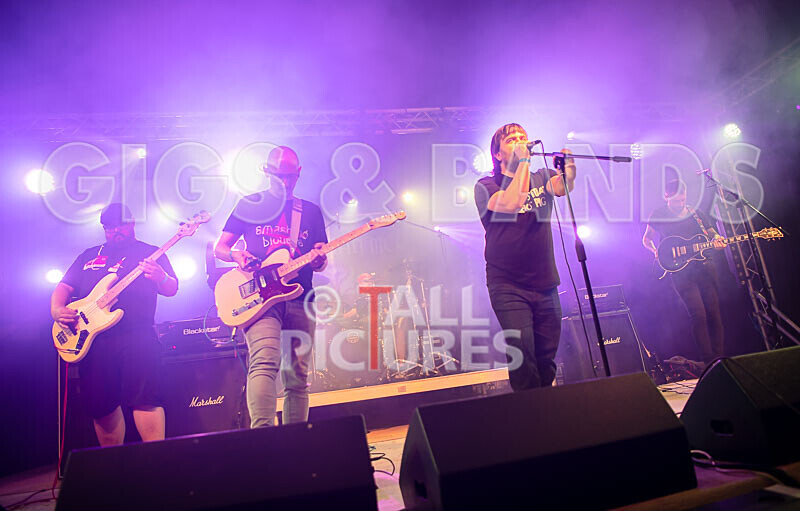 Foxy Stoat Seeks Pig-8 - FOXY STOAT SEEKS PIG