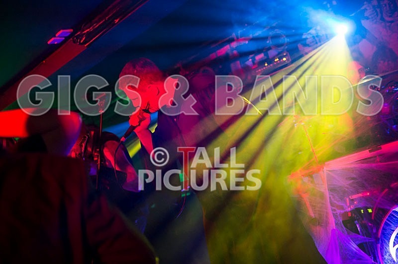 Darker Shores-29 - DARKER SHORES