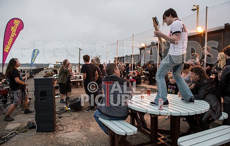 Stone Em All-132 - STONE EM ALL