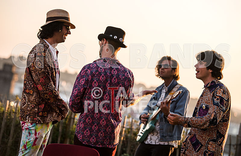 Surfin Birds-27 - SURFIN' BIRDS