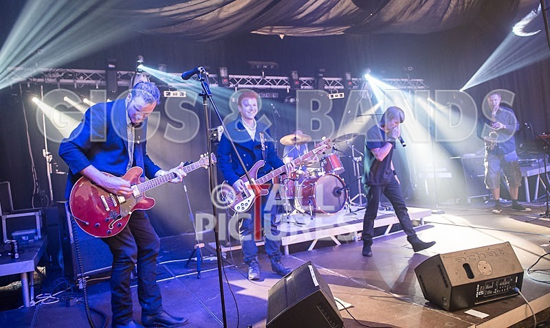 Thee Jenerators-311 - THEE JENERATORS