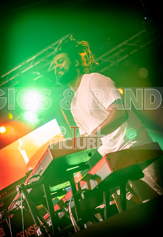 Hollie Cook-5 - HOLLIE COOK