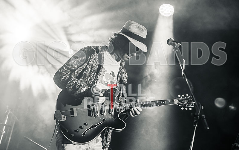 Surfin Birds-5 - SURFIN' BIRDS