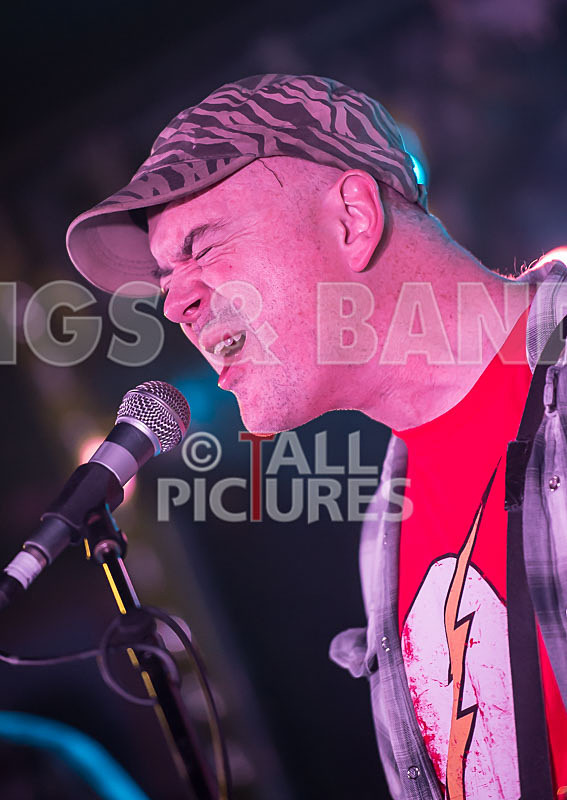 Sugarslam-280 - SUGAR SLAM