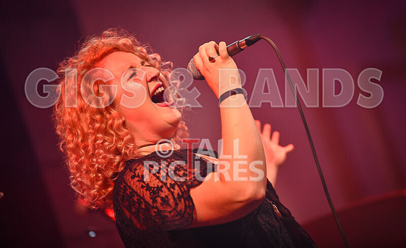 Jo Marsh-6 - THE GUESTS