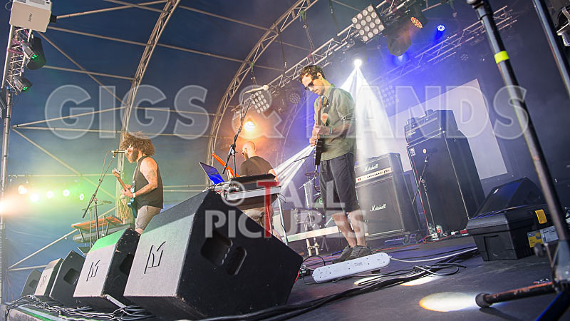 Tree House Fire-35 - TREE HOUSE FIRE