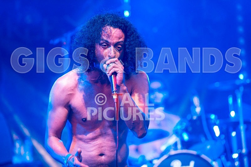 Chaos 2013_Harlequin Knights-33 - HARLEQUIN KNIGHTS