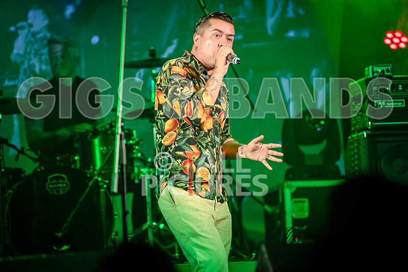 The King Blues-62 - THE KING BLUES