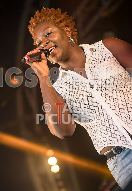 The Dynamics-3 - THE DYNAMICS