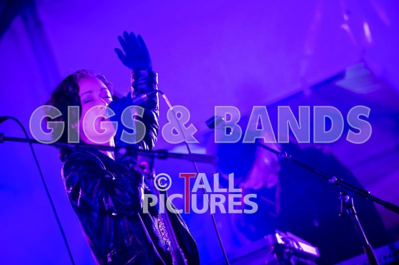 Vale-Earth-85 - VALE EARTH FAIR 2008