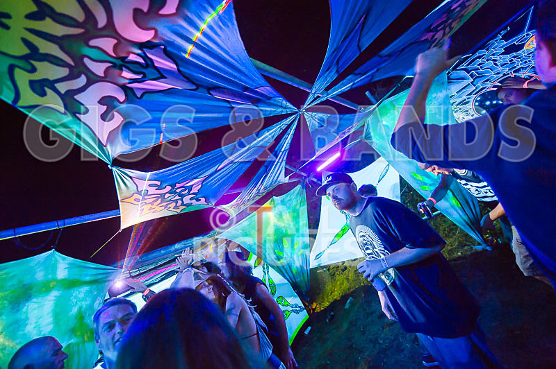 Vale Earth Fair 2017_SCENE-4 - VALE EARTH FAIR 2017_THE SCENE