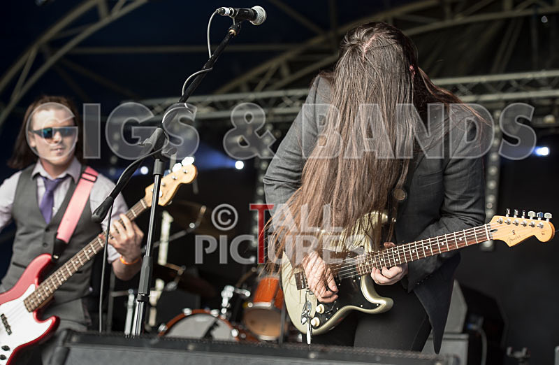 Stone Em All-309 - STONE EM ALL