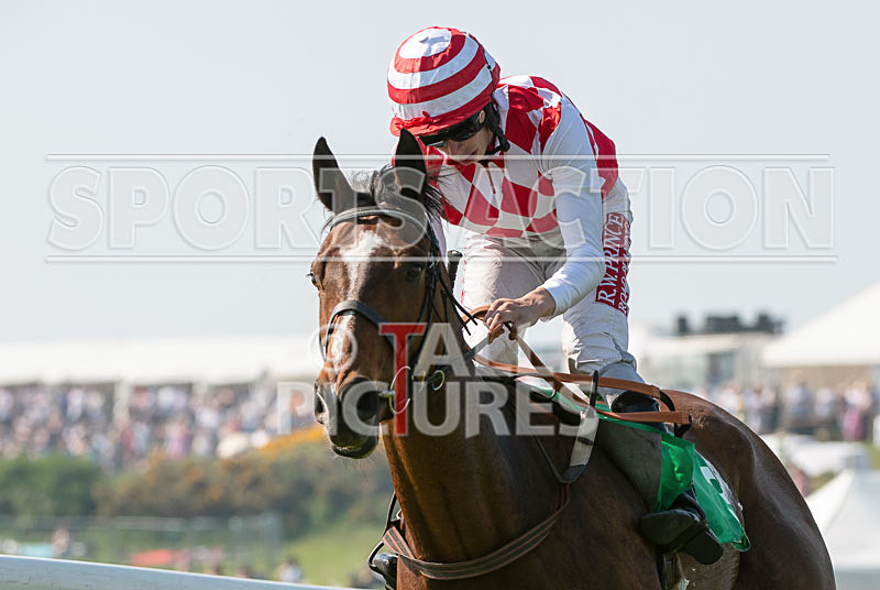 Guernsey Race Club Horse Racing 2018-27 - GUERNSEY RACE CLUB BANK HOLIDAY 2018