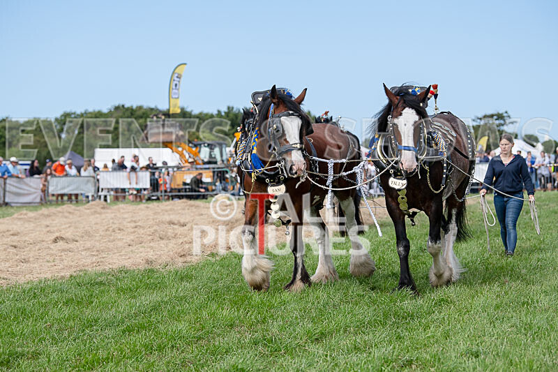 Guernsey Agricultural Show 2021-171 - GUERNSEY AGRICULTURAL SHOW 2021