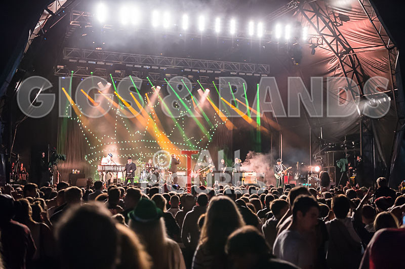 Madness-80 - MADNESS