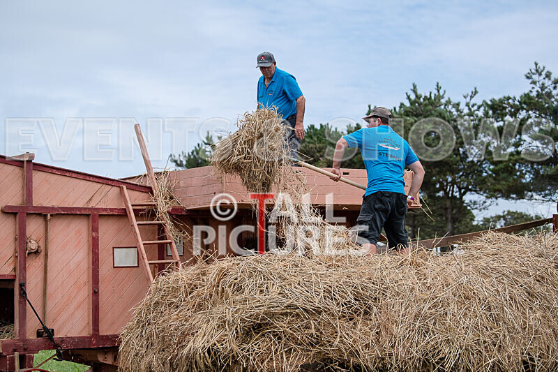 Guernsey Agricultural Show 2021-101 - GUERNSEY AGRICULTURAL SHOW 2021