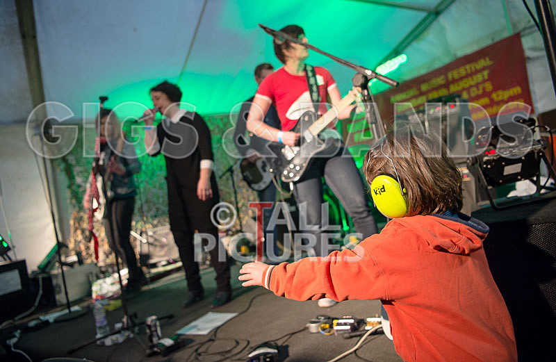 Swallows-5 - SWALLOWS