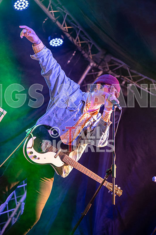 Surfin Birds-64 - SURFIN' BIRDS