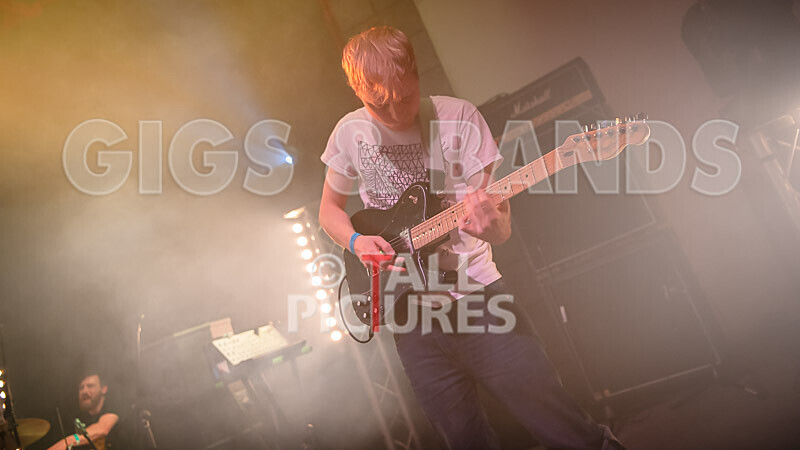 Pigsx7-26 - PIGS PIGS PIGS PIGS PIGS PIGS PIGS