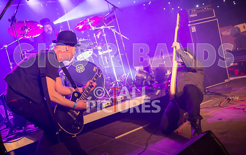 Peppered Ant Legs-172 - PEPPERED ANT LEGS