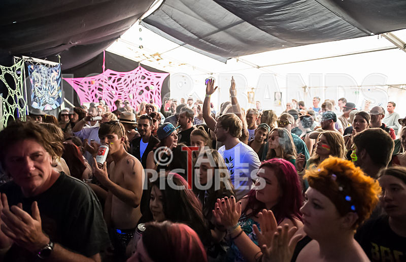 Chaos Peace Tent 2014-50 - CHAOS 2014... THE PEACE TENT