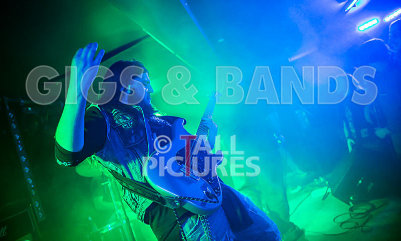 Stone Em All-195 - STONE EM ALL