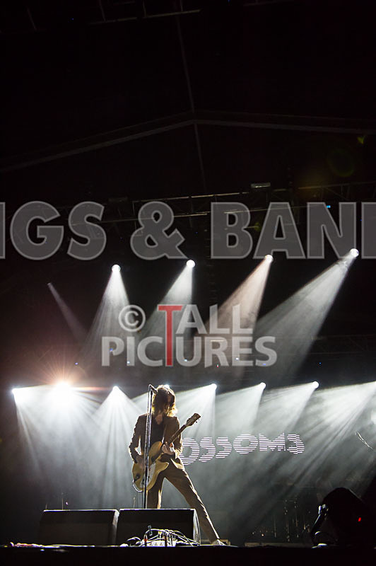 Blossoms-39 - BLOSSOMS