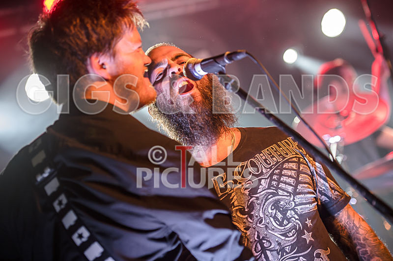 FlashMob-187 - FLASHMOB