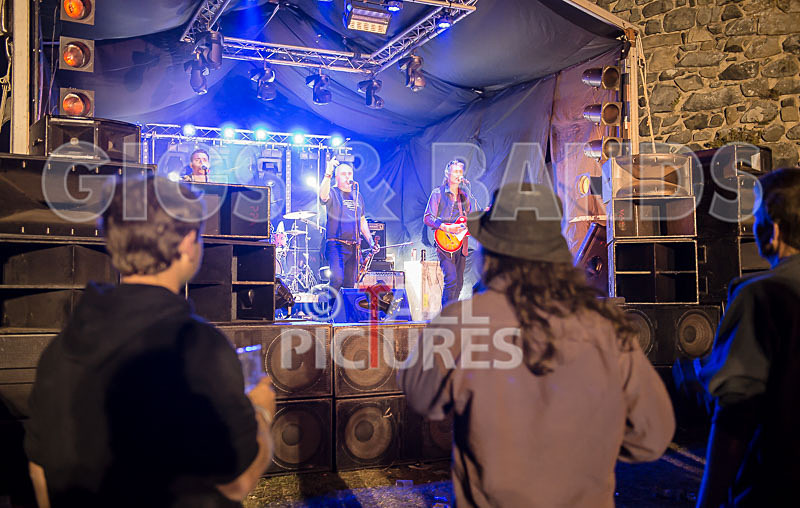 Vale Earth Fair_Atmosphere_2014-69 - VALE EARTH FAIR 2014 - THE ATMOSPHERE