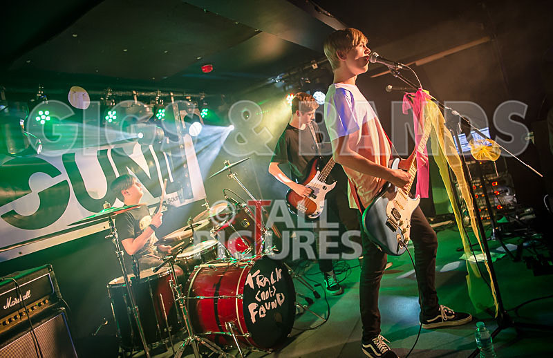 Cosmic Fish-16 - COSMIC FISH